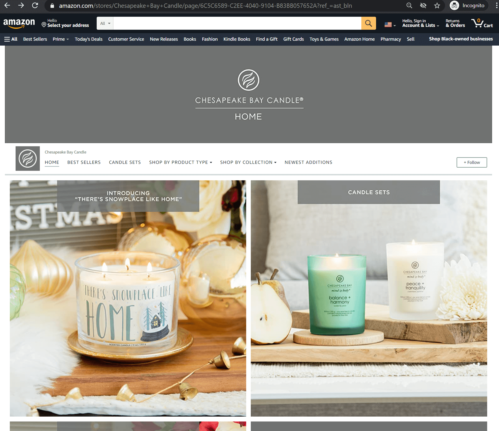 Amazon Brand Store