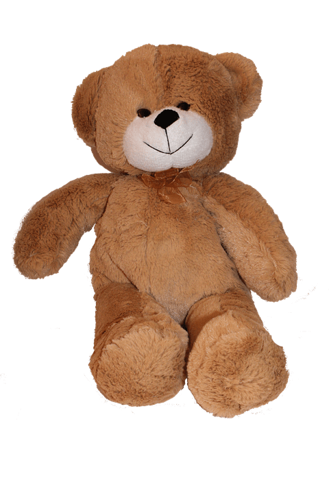 Main amazon product image sample