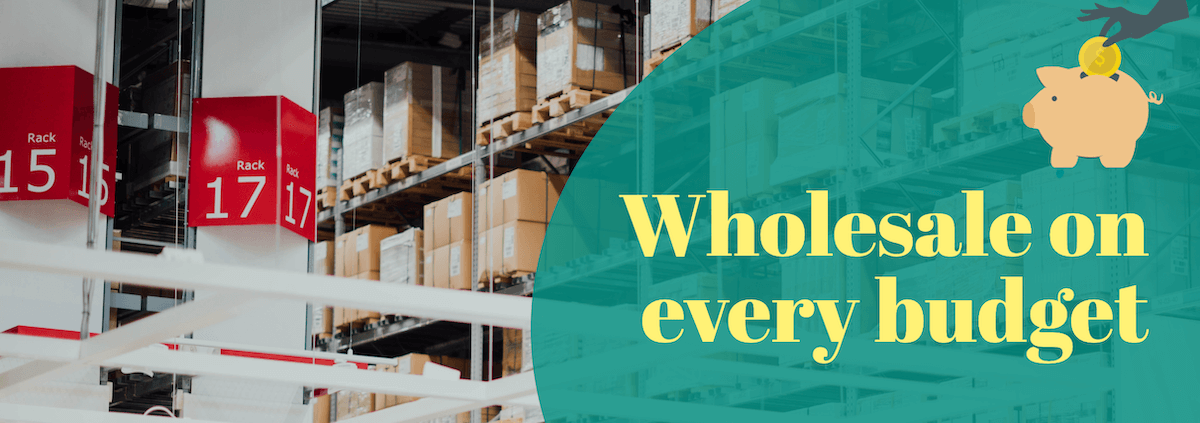 Wholesale on every budget: Selling on Amazon with $100 (or less!)